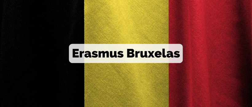 Erasmus bruxelas estudantes